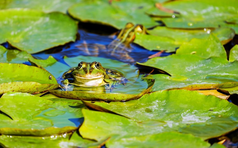 Navigating Confusion: Leading Yourself Out of Uncertainty